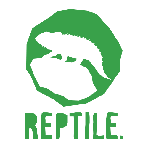 Reptile